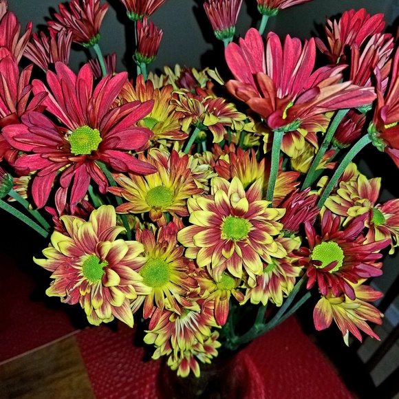 Meet your Posher, Kimberly - Picture 1 of 1